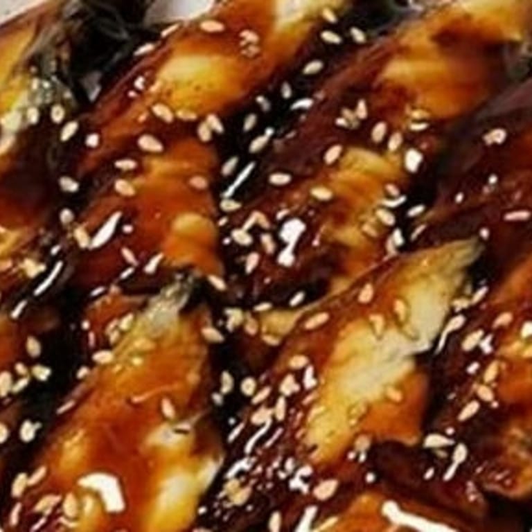 Unagi: A Japanese Treasure